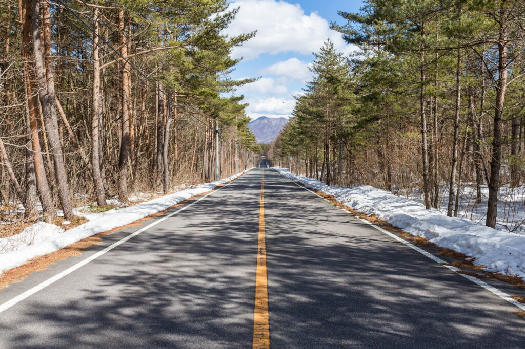 Beautiful winter forest with car road